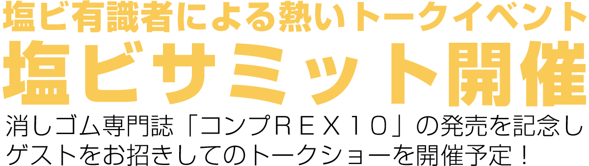 5月6日(月)塩ビ有識者による「塩ビサミット」開催！